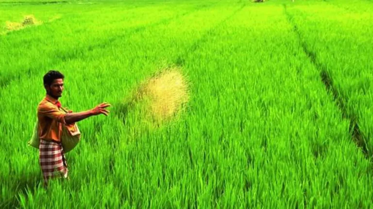 CG Farmers News, CG Farmers Kharif Crops MSP