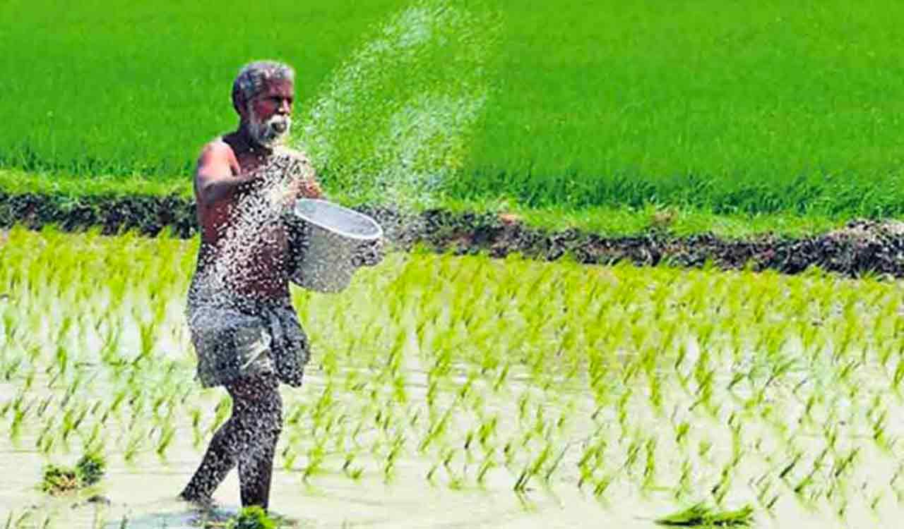 CG Farmers News, CG Farmers Kharif Crops MSP 