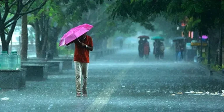 Monsoon 2024, Monsoon Prediction 2024, Monsoon Weather