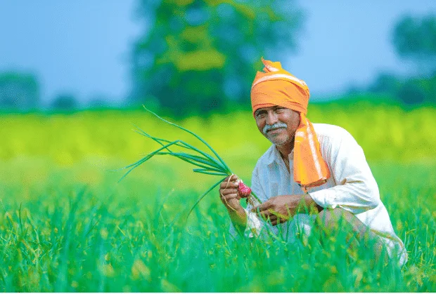 PM Kisan Scheme, PM Kisan yojana, PM Kisan Installments, PM Kisan Amount Hike