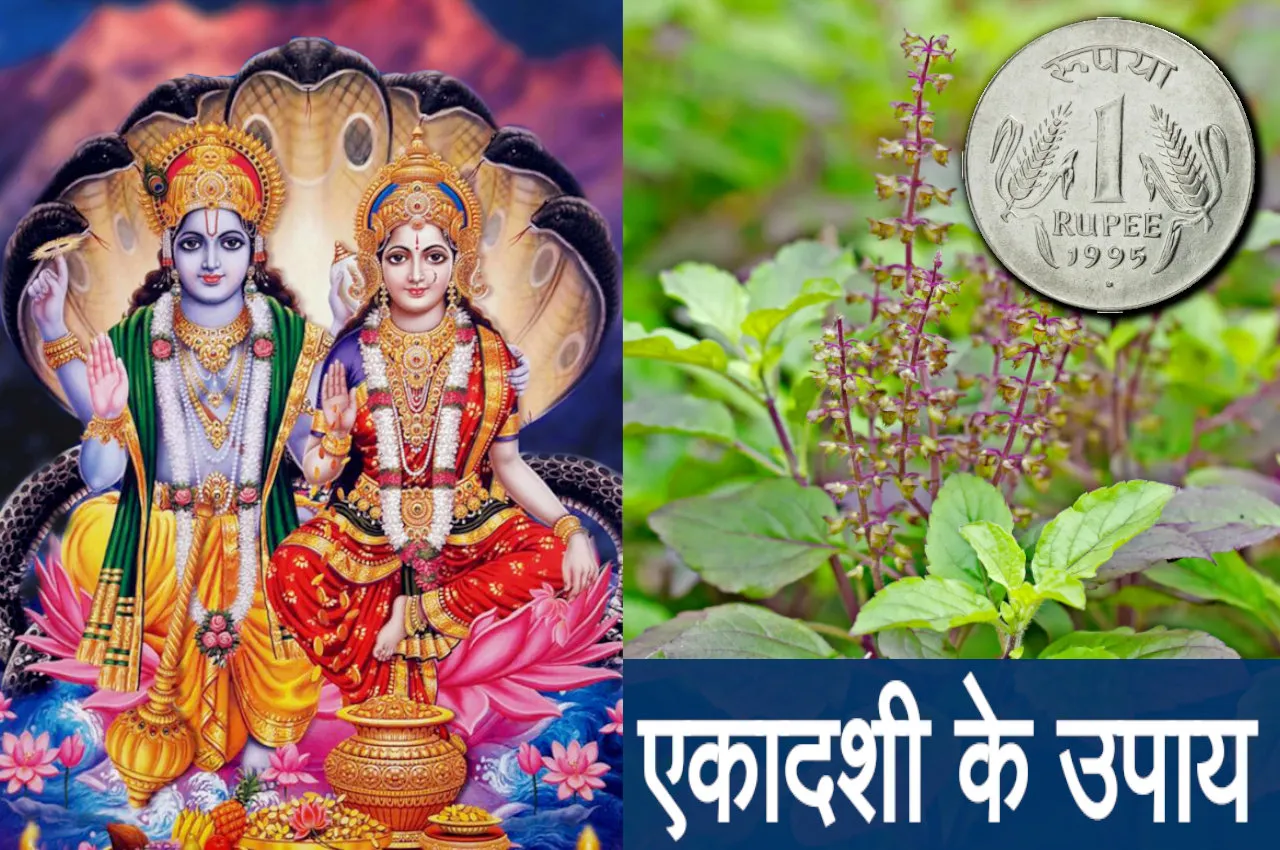 Ekadashi Upay 2024, Ekadashi 2024, Putrada Ekadashi 2024, Putrada Ekadashi Upay 2024