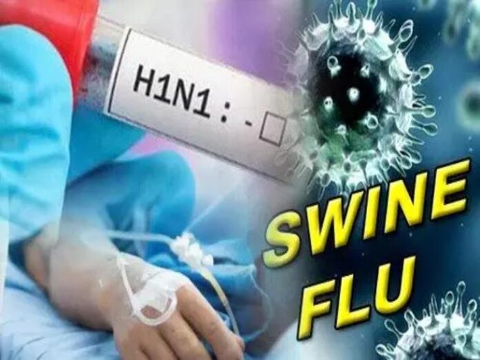 Swine Flu, Swine Flu News. ,Chhattisgarh Swine Flu