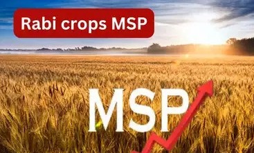 MSP Hike, Kisan MSP Hike, Farmers MSP Hike, Rabi Crops MSP Hike