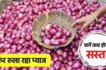 Onion Price Hike