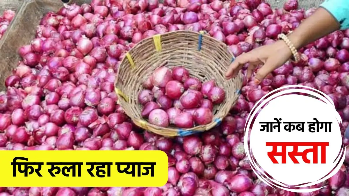 Onion Price Hike